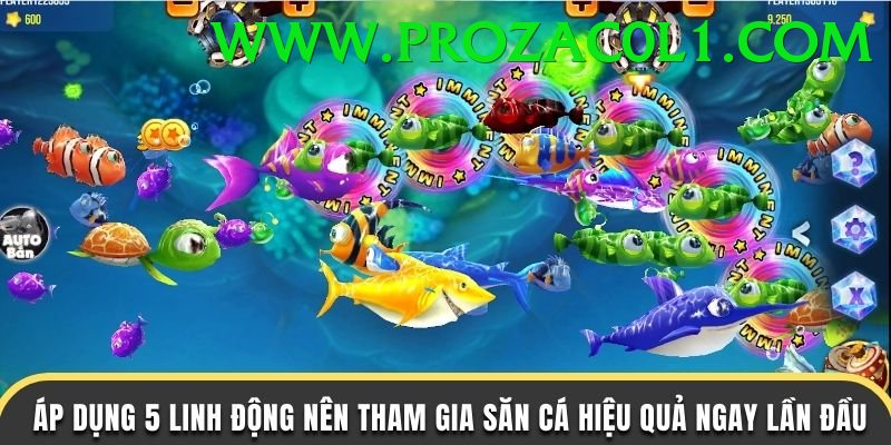Game Bắn Cá Đổi Thưởng - ccvip